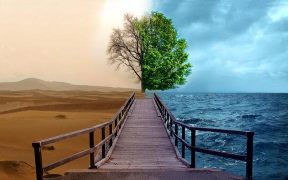 A TALE OF TWO&nbsp;KINGDOMS