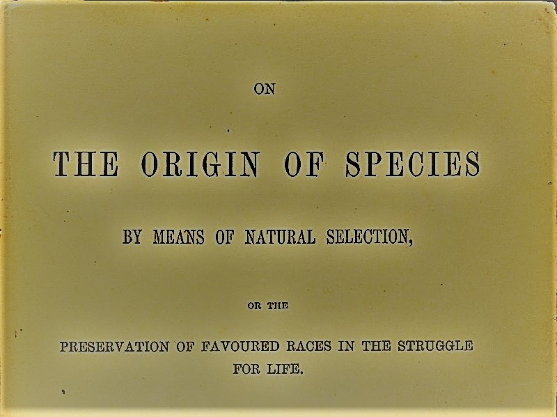 THE PRESERVATION OF FAVOURED RACES IN THE STRUGGLE FOR&nbsp;LIFE