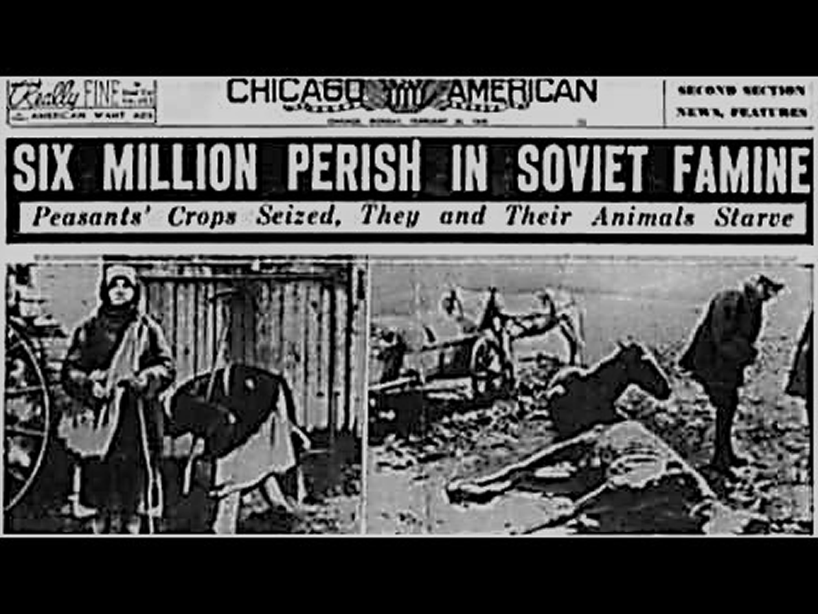 Kingdom of the&nbsp;Beast